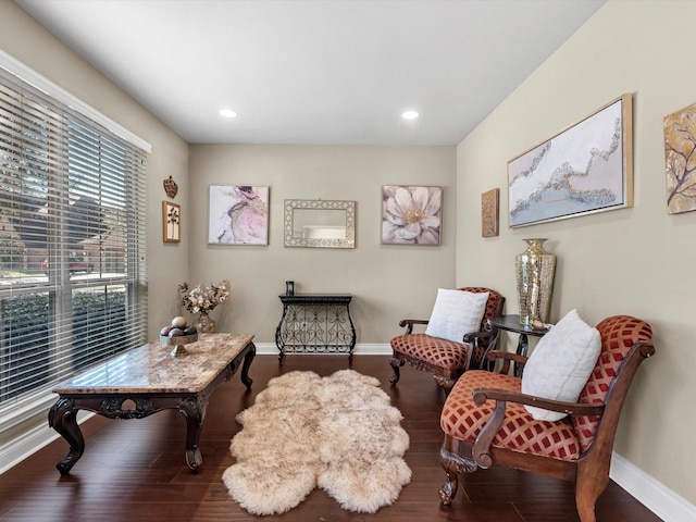 living area featuring wood-type flooring