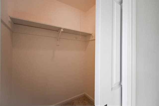 walk in closet featuring carpet floors