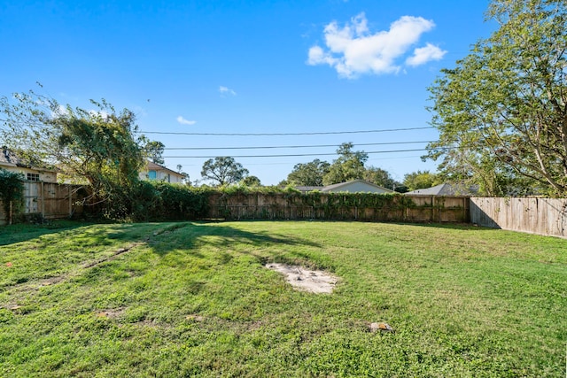 view of yard