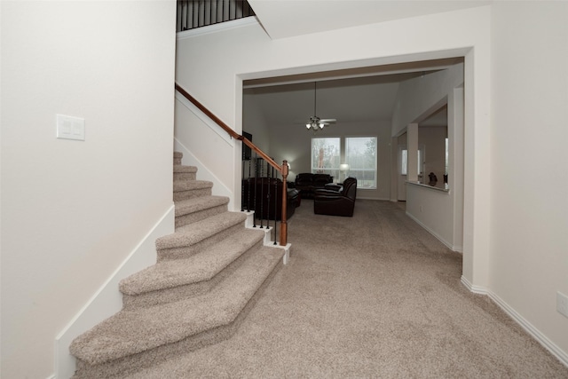 stairway featuring ceiling fan and carpet floors