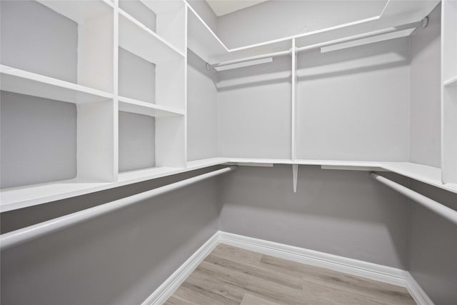 spacious closet featuring wood-type flooring