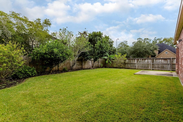 view of yard featuring a patio