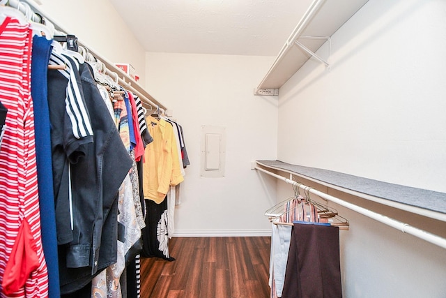 spacious closet featuring electric panel and dark wood-type flooring