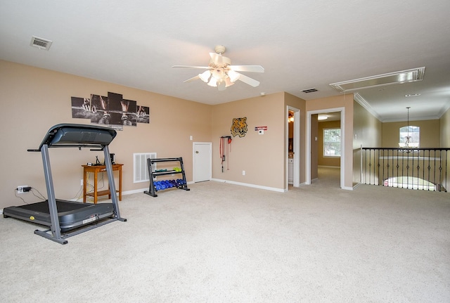 workout area featuring attic access, visible vents, and carpet floors