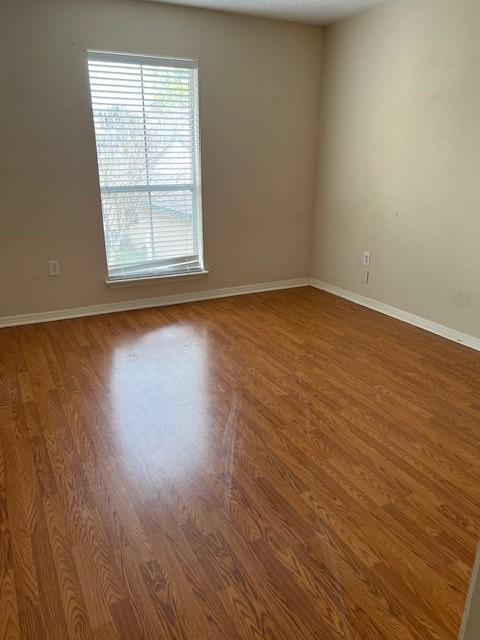 spare room featuring wood-type flooring