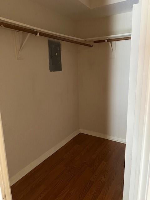 walk in closet featuring dark hardwood / wood-style flooring and electric panel