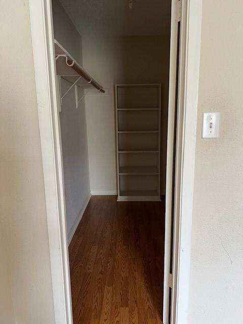 spacious closet with dark hardwood / wood-style floors