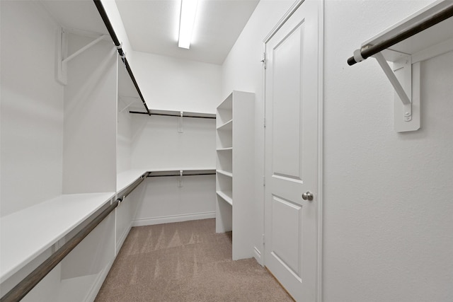16715 Ramsay Cascades Dr, Humble, TX 77346 - walk in closet with light colored carpet
