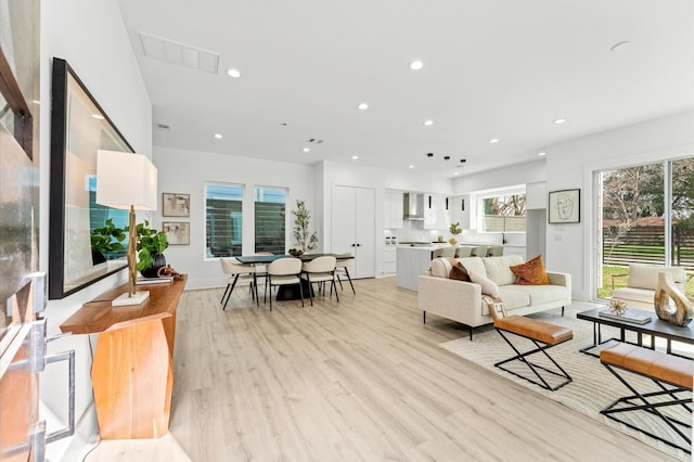 living room featuring light hardwood / wood-style floors