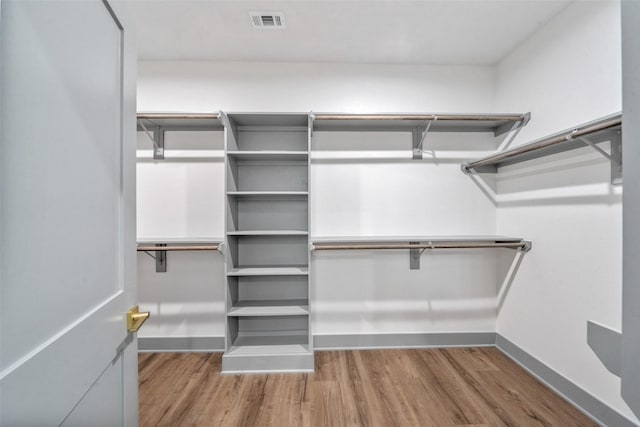 spacious closet featuring wood-type flooring