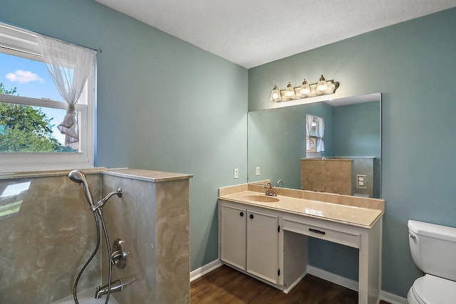 bathroom with vanity, hardwood / wood-style floors, and toilet