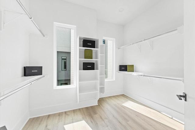 spacious closet featuring light hardwood / wood-style floors