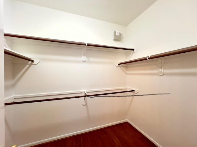 walk in closet with hardwood / wood-style flooring