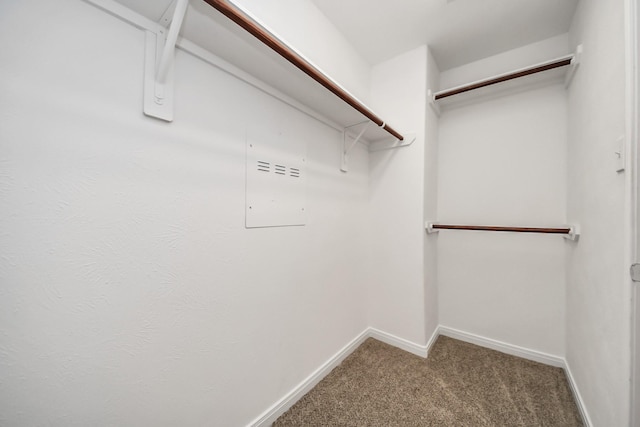 walk in closet with carpet