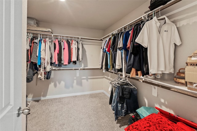 spacious closet with carpet flooring