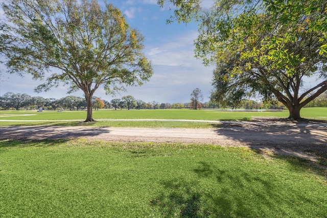 view of community featuring a yard