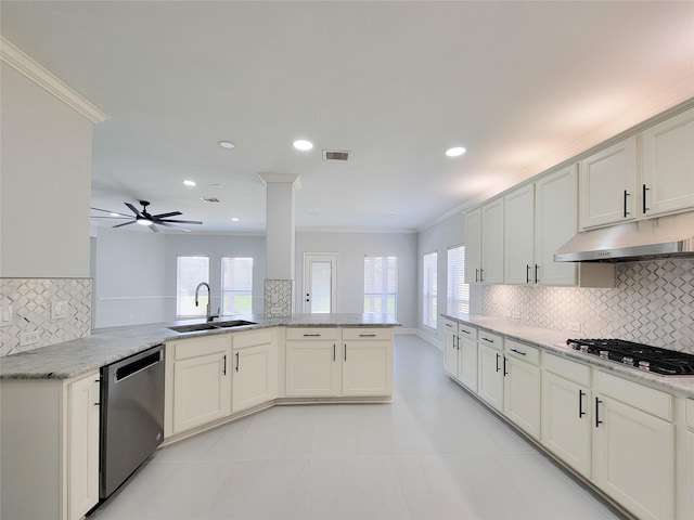 kitchen featuring crown molding, appliances with stainless steel finishes, sink, and kitchen peninsula