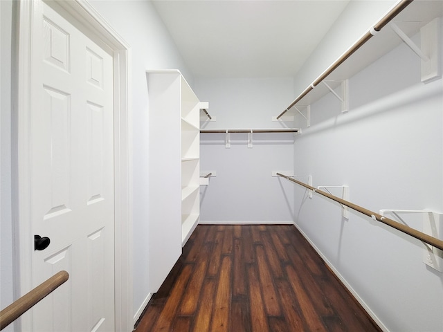 walk in closet featuring dark wood-type flooring