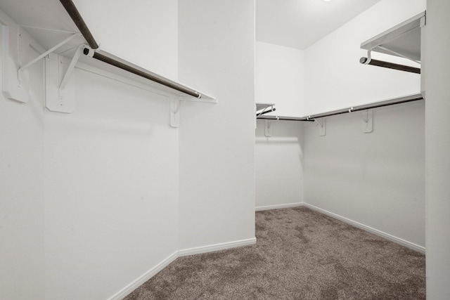 114 Kohen Ct, Montgomery, TX 77316 - spacious closet featuring carpet floors