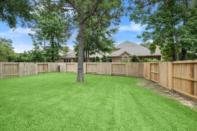 114 Kohen Ct, Montgomery, TX 77316 - view of yard