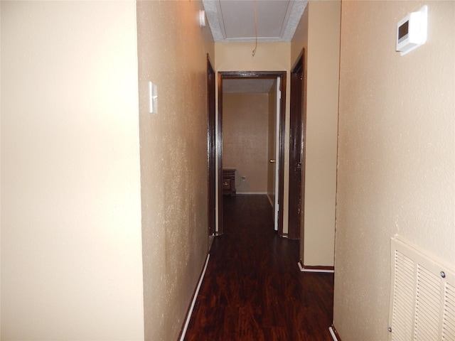 corridor featuring dark hardwood / wood-style flooring