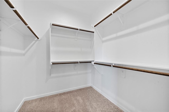 spacious closet with light colored carpet