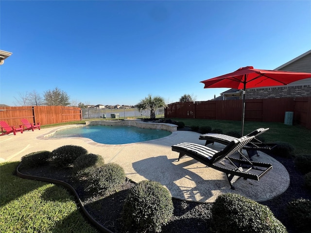 view of pool with a yard and a patio