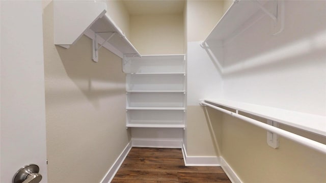 spacious closet featuring dark wood-style floors