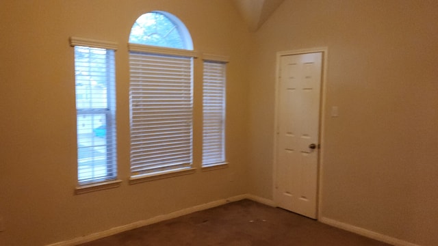 spare room featuring lofted ceiling and a healthy amount of sunlight