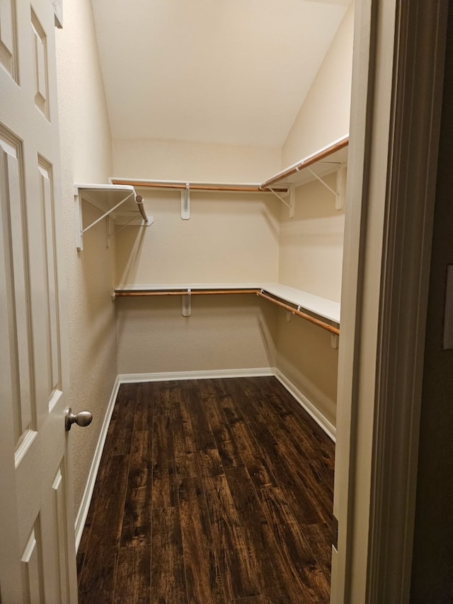 walk in closet with lofted ceiling and dark wood-type flooring