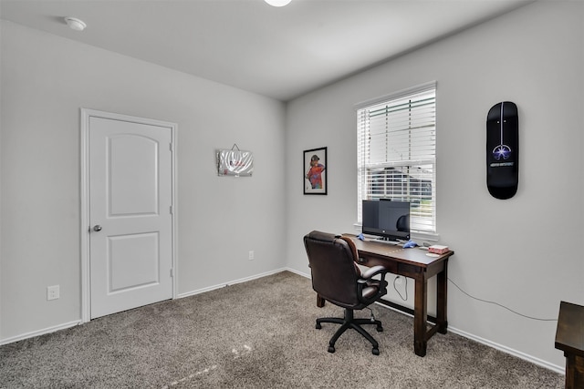 office featuring carpet floors and baseboards