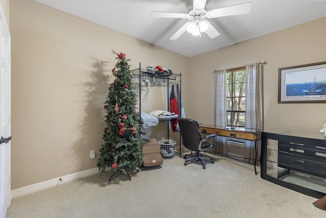 office featuring ceiling fan and carpet flooring