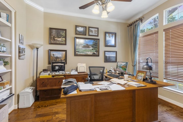 office space featuring crown molding, ceiling fan, and dark wood-type flooring