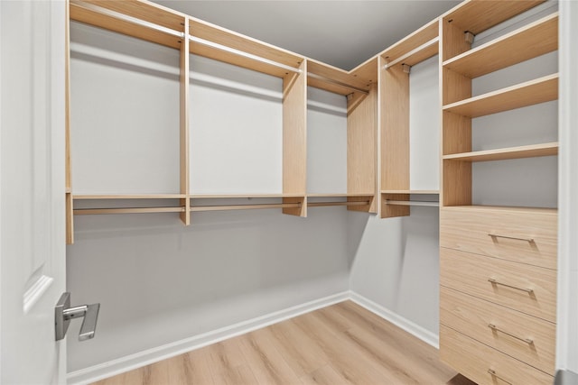 walk in closet with light hardwood / wood-style floors