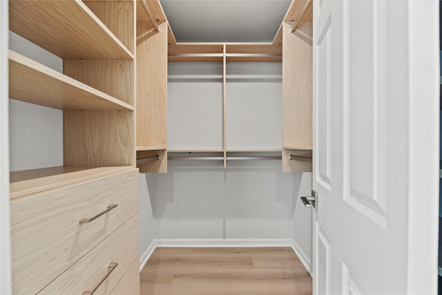 spacious closet featuring light hardwood / wood-style floors