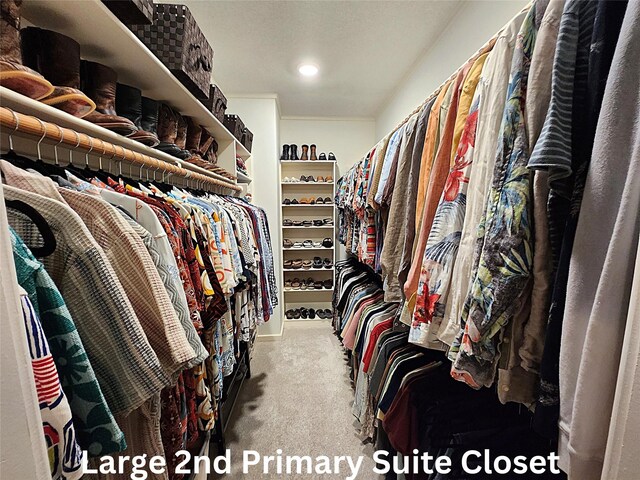 walk in closet with carpet