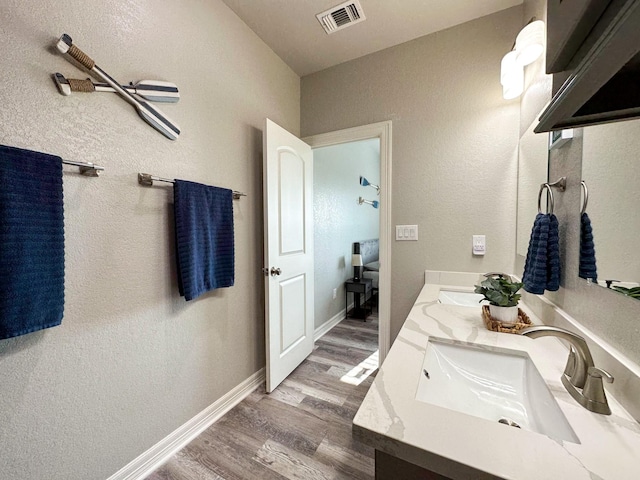 bathroom featuring wood-type flooring and vanity