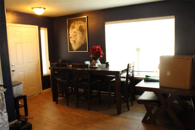 dining space with hardwood / wood-style flooring