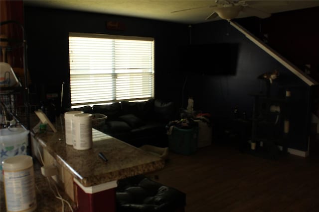 living room with dark hardwood / wood-style floors and ceiling fan