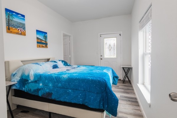 bedroom featuring wood-type flooring