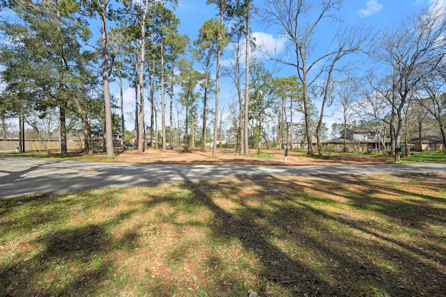 624 Rock Bass Rd, Conroe TX, 77384 land for sale