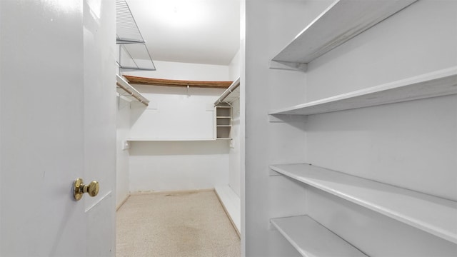 walk in closet featuring light colored carpet