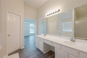 bathroom with vanity and hardwood / wood-style flooring