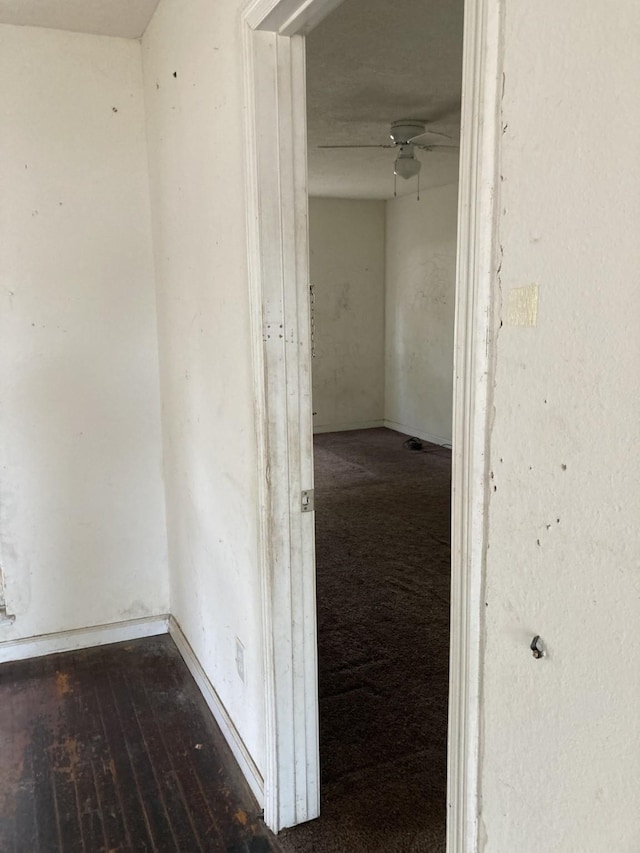 corridor with hardwood / wood-style floors