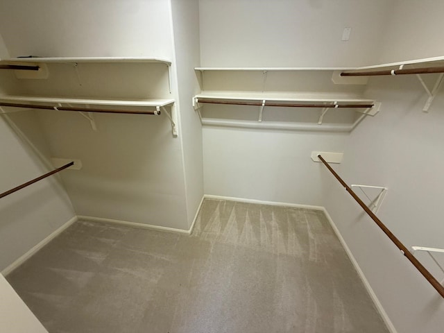 walk in closet featuring carpet floors