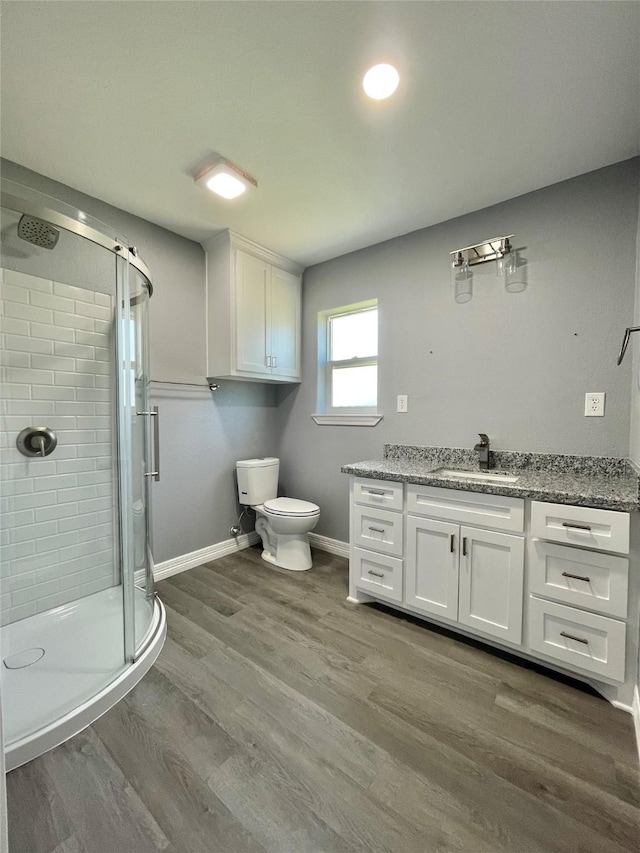 bathroom with vanity, wood-type flooring, toilet, and a shower with shower door