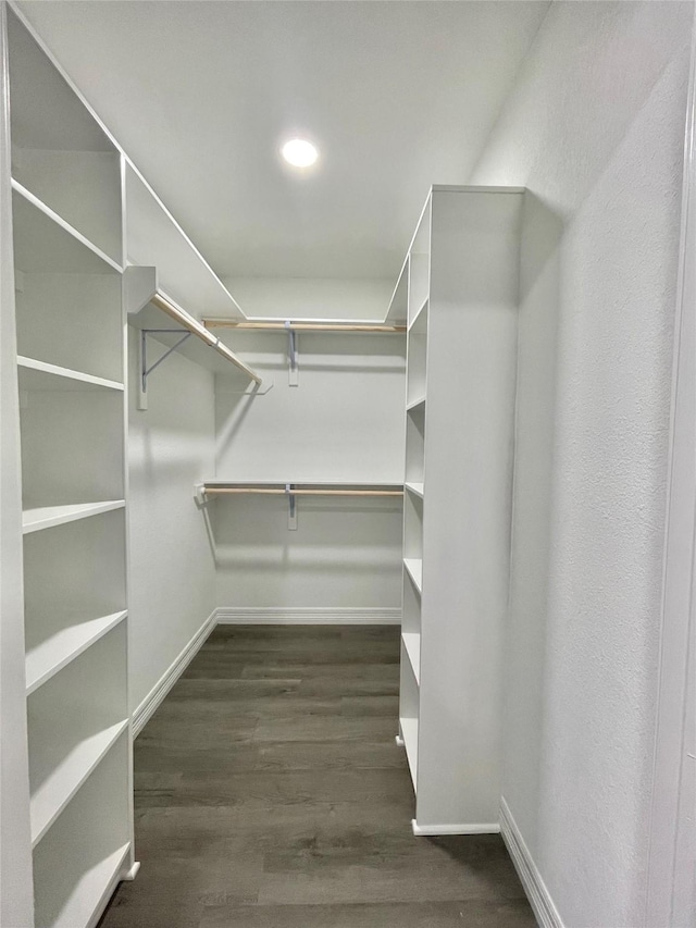 walk in closet featuring dark wood-type flooring