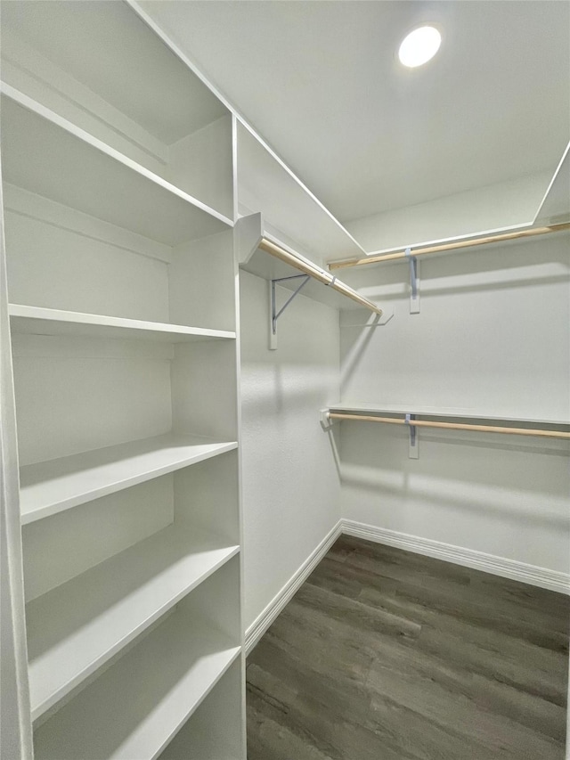 walk in closet featuring dark wood-type flooring