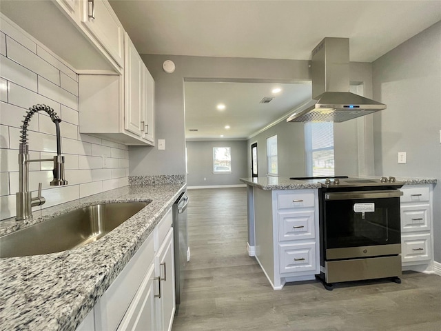 kitchen featuring appliances with stainless steel finishes, ventilation hood, sink, and white cabinets