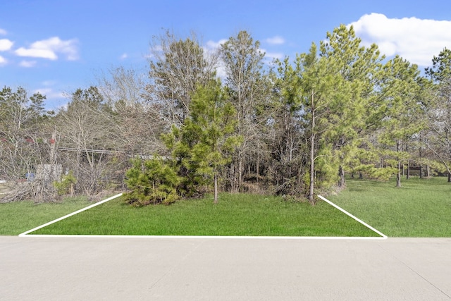 2327 County Road 3405, Cleveland, TX 77327 - photo 1